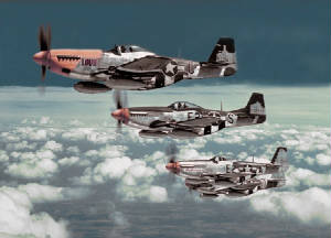 p_51s_361st_fg_2.jpg
